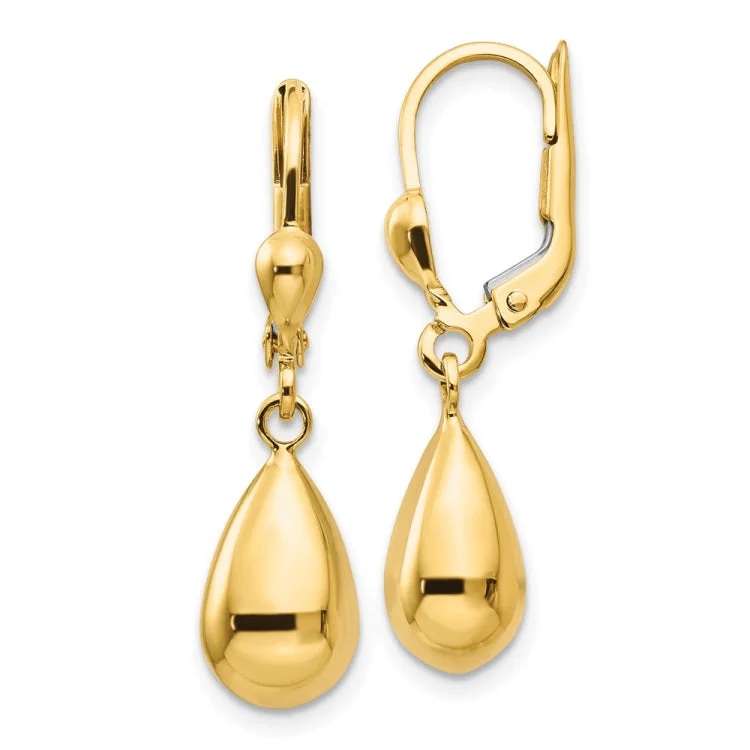 Artistic Earrings for Fashion Lovers-14k Polished Fancy Dangle Leverback Earrings